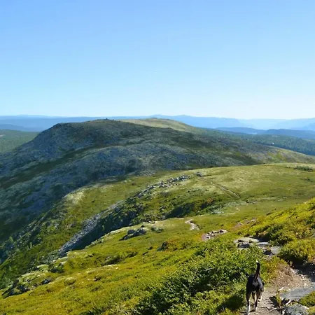 Hyggelig Fiskebu Ved Langrumpa Fiskevann