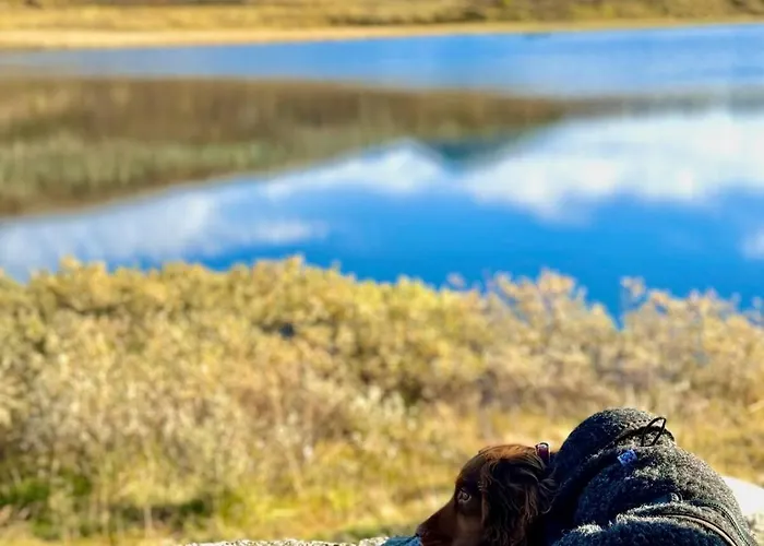 Semesterbostad Hyggelig Fiskebu Ved Langrumpa Fiskevann *