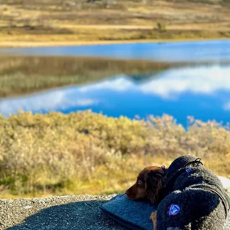 Vakantiehuis Hyggelig Fiskebu Ved Langrumpa Fiskevann *